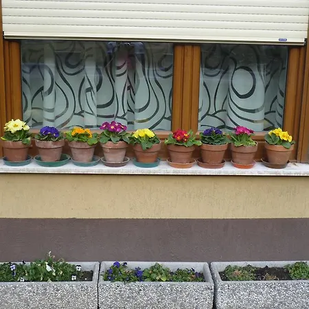 Drejca Apartma *