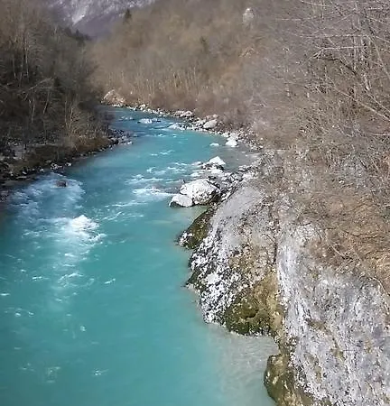 Drejca